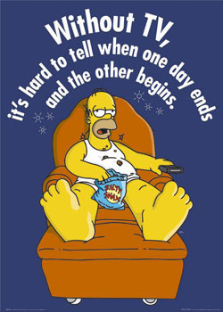 homer vs tv.jpg